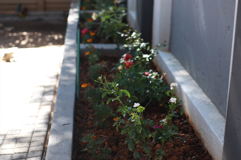 His Grace Eagles Guest House